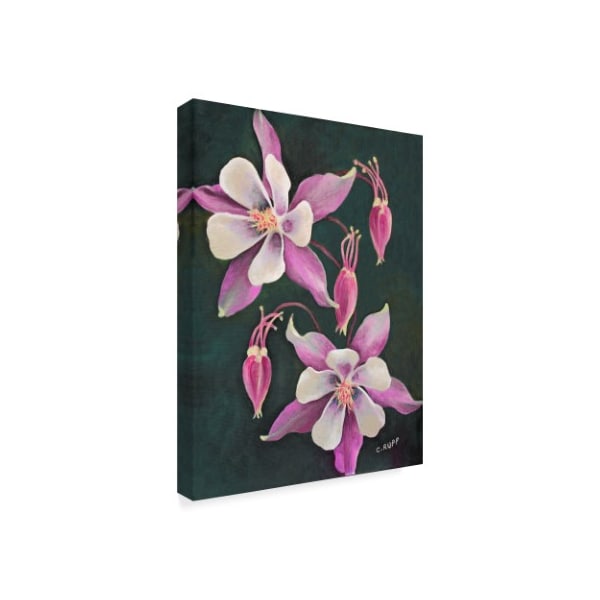 Carol J Rupp 'Pink Columbine Flowers' Canvas Art,35x47